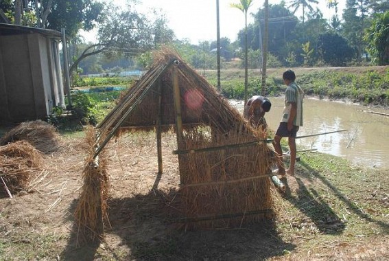 Poush Parban: Celebration creates nostalgia of evergreen traditions Poush Parban: Celebration creates nostalgia of evergreen traditions